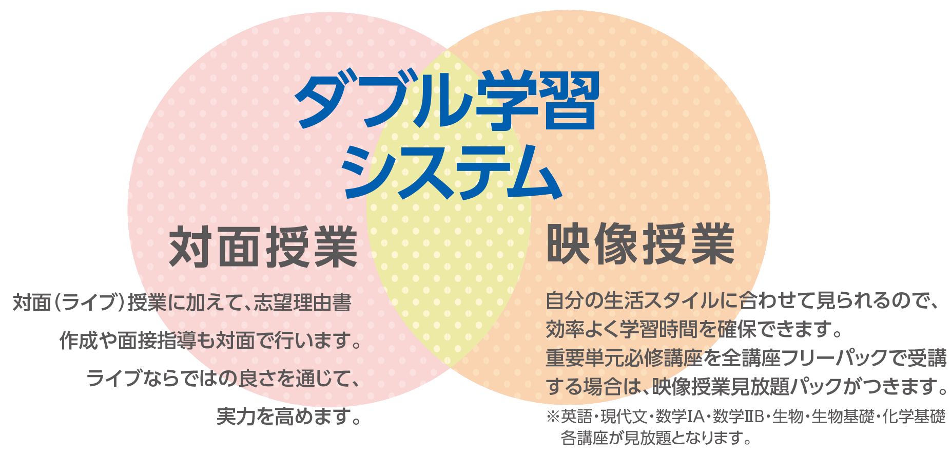 ダブル学習システム