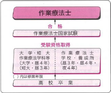 作業療法士(OT)