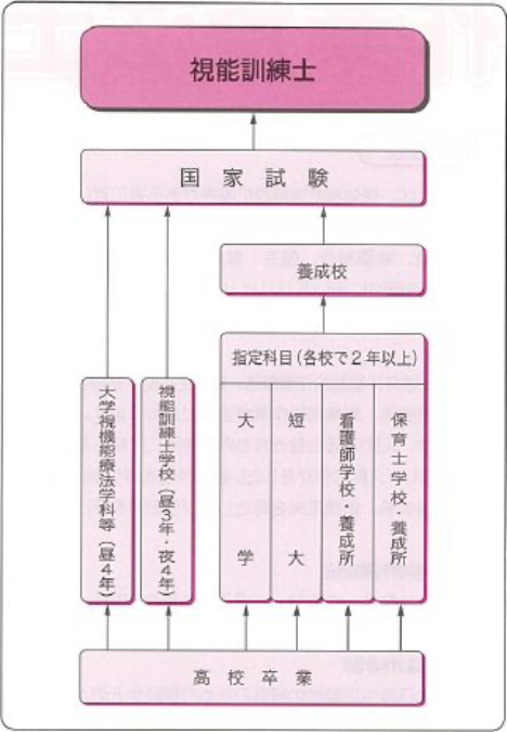 視能訓練士(ORT)