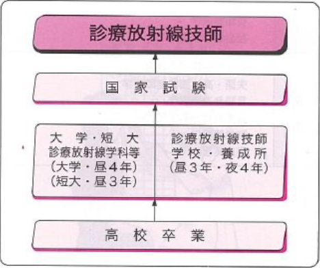 診療放射線技師