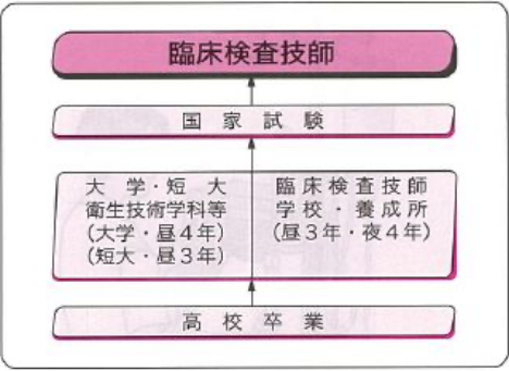 臨床検査技師