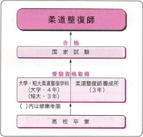 柔道整復師