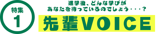 先輩VOICE