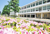 東京医療保健大学 医療保健学部 校舎外観