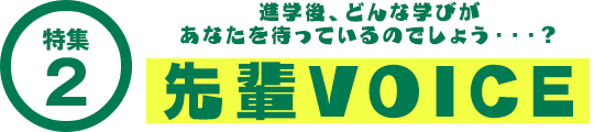 先輩VOICE