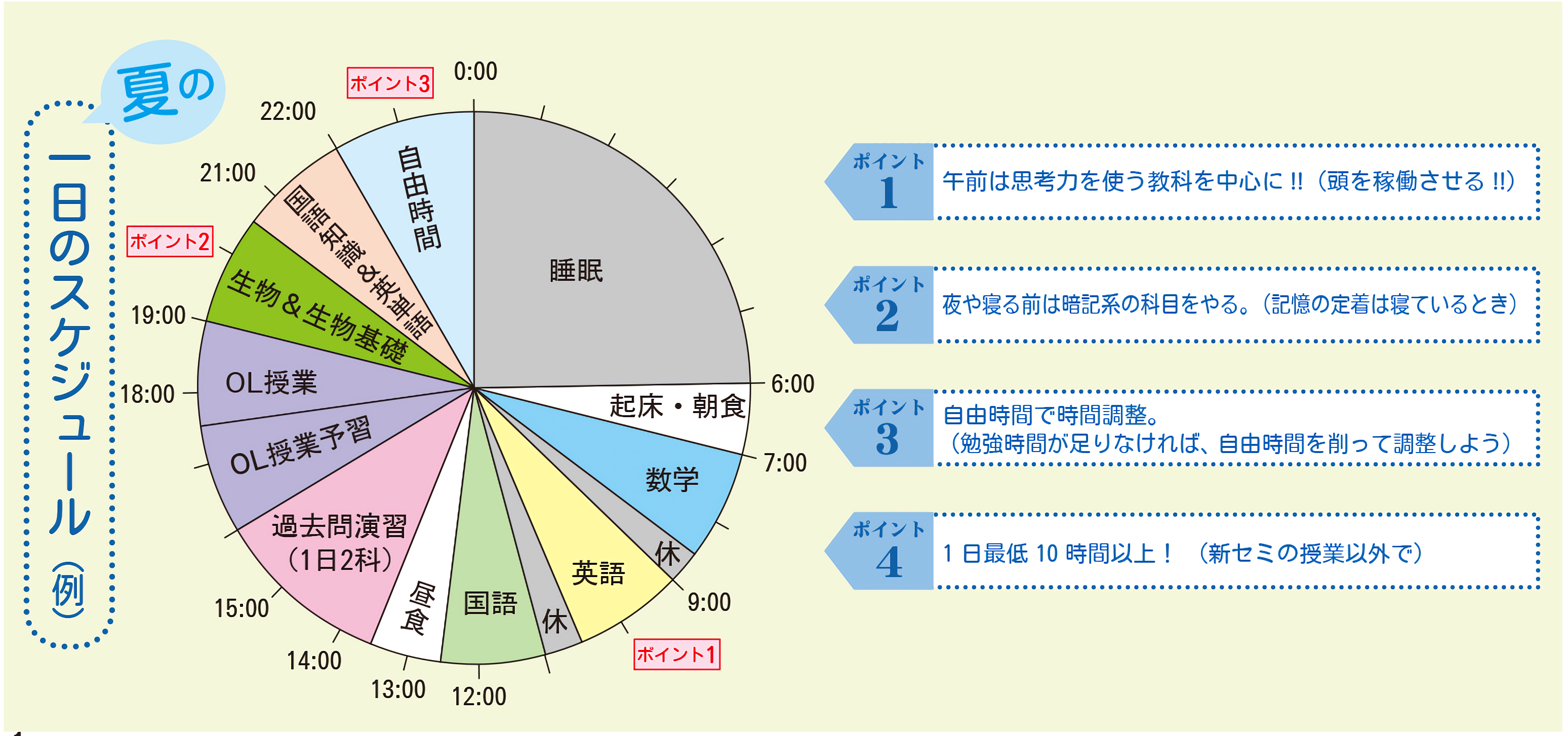 スケジュール