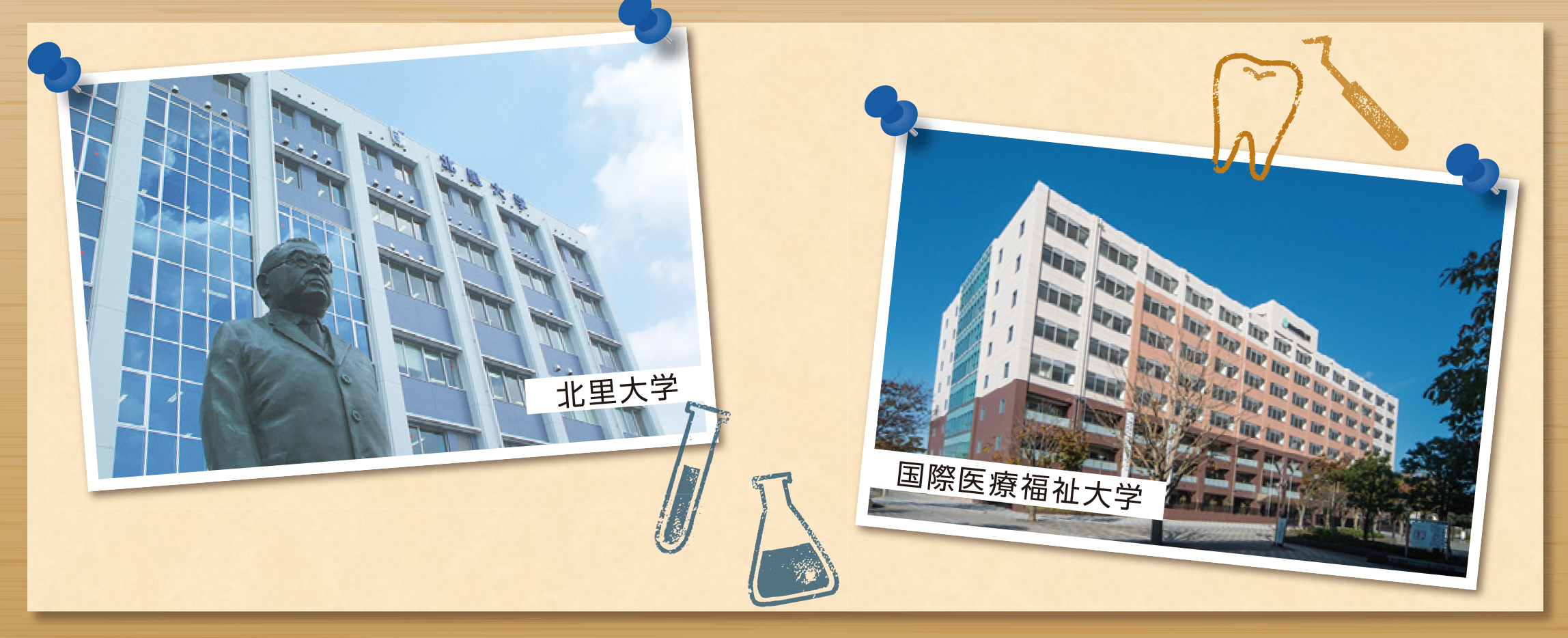 北里大学、国際医療福祉大学