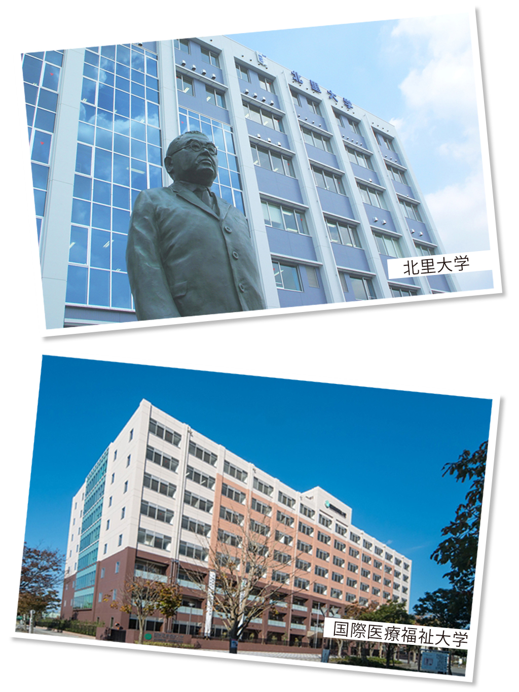 歯学・薬学大学外観