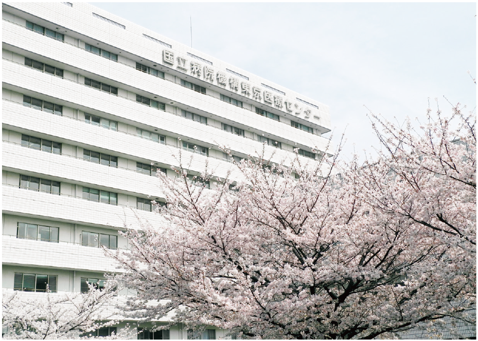 東京医療保健大学 外観