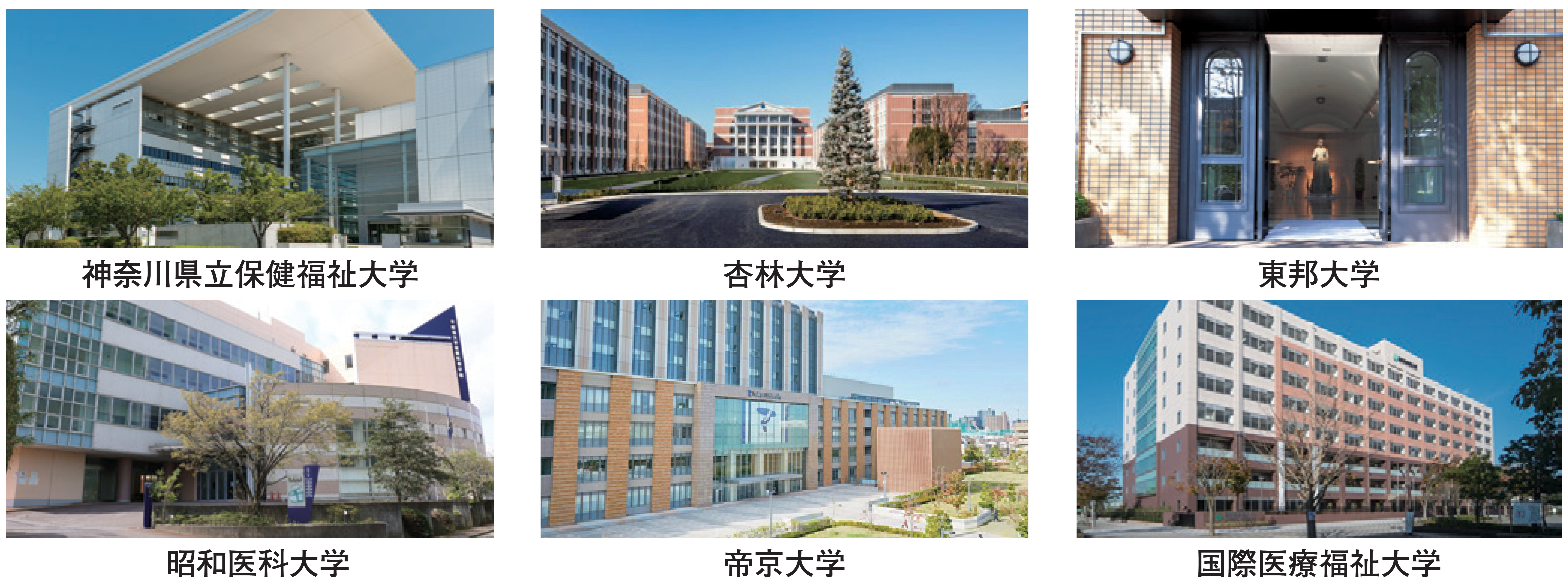 新セミ 志望校別特訓　大学画像