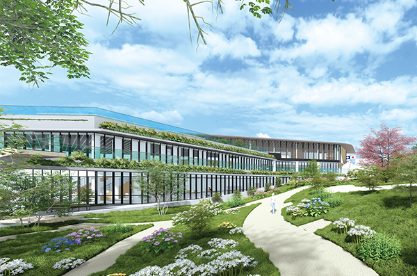 昭和医科大学